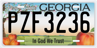 GA license plate PZF3236