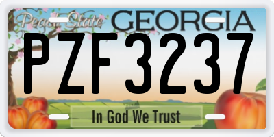 GA license plate PZF3237