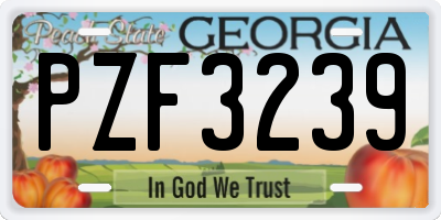 GA license plate PZF3239