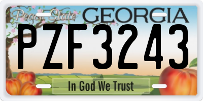 GA license plate PZF3243