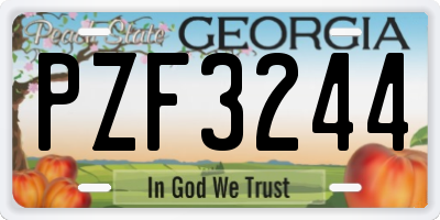 GA license plate PZF3244