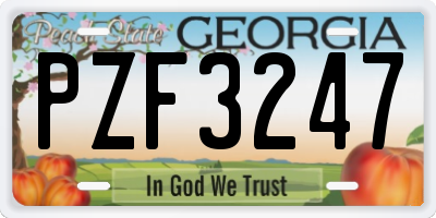 GA license plate PZF3247