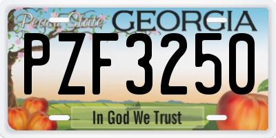 GA license plate PZF3250