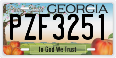GA license plate PZF3251