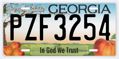 GA license plate PZF3254