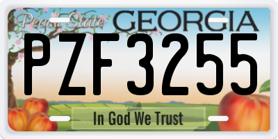 GA license plate PZF3255