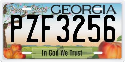 GA license plate PZF3256
