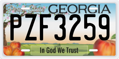 GA license plate PZF3259