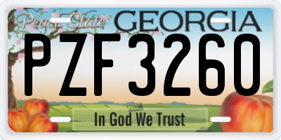GA license plate PZF3260
