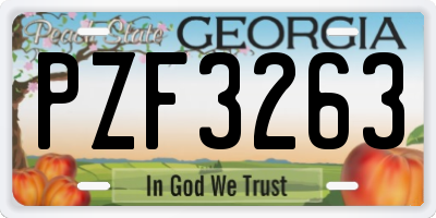 GA license plate PZF3263