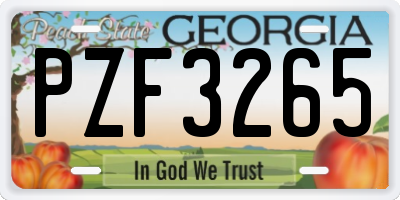 GA license plate PZF3265