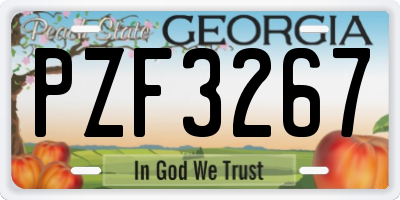 GA license plate PZF3267