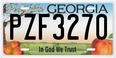GA license plate PZF3270
