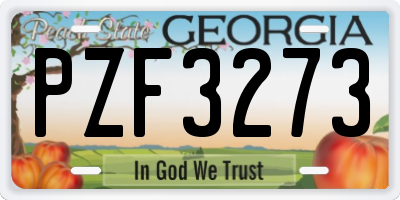 GA license plate PZF3273
