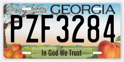 GA license plate PZF3284