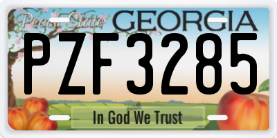 GA license plate PZF3285