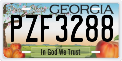 GA license plate PZF3288