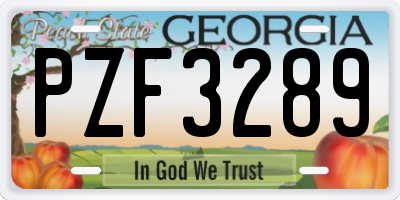 GA license plate PZF3289
