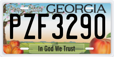 GA license plate PZF3290