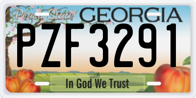 GA license plate PZF3291