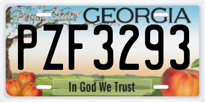 GA license plate PZF3293