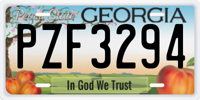 GA license plate PZF3294