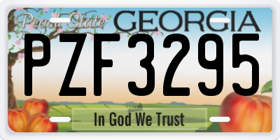 GA license plate PZF3295
