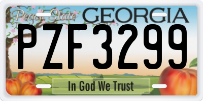 GA license plate PZF3299