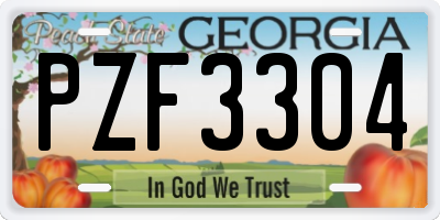 GA license plate PZF3304