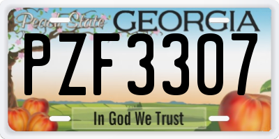 GA license plate PZF3307