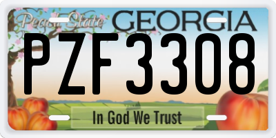 GA license plate PZF3308