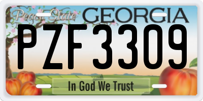 GA license plate PZF3309
