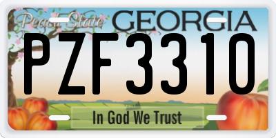GA license plate PZF3310