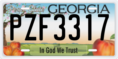 GA license plate PZF3317