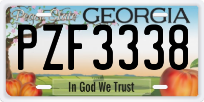 GA license plate PZF3338