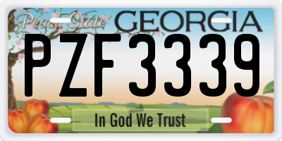 GA license plate PZF3339