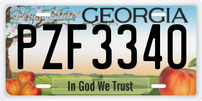 GA license plate PZF3340