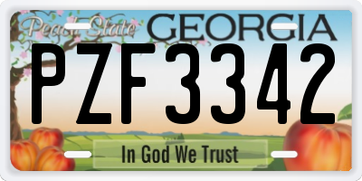 GA license plate PZF3342