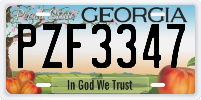 GA license plate PZF3347