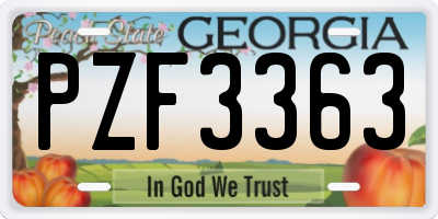 GA license plate PZF3363