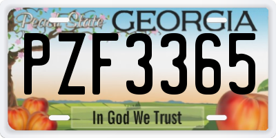 GA license plate PZF3365