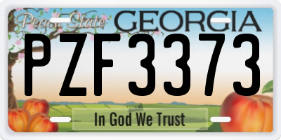 GA license plate PZF3373
