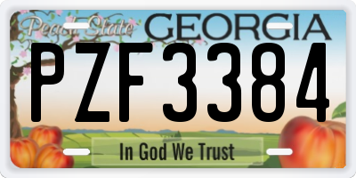 GA license plate PZF3384