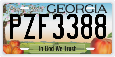 GA license plate PZF3388