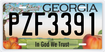 GA license plate PZF3391