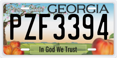 GA license plate PZF3394