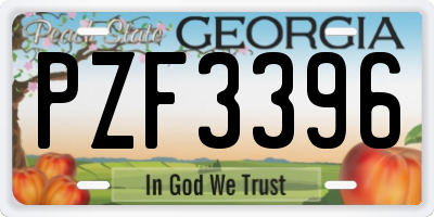 GA license plate PZF3396
