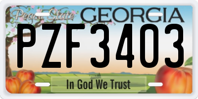 GA license plate PZF3403