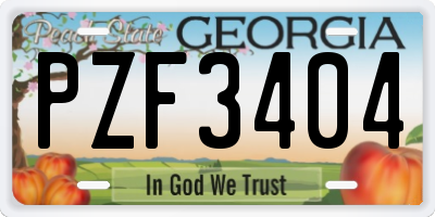 GA license plate PZF3404