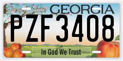 GA license plate PZF3408